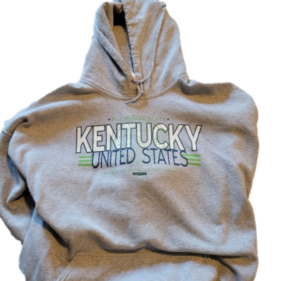 GILDAN KENTUCKY BLUEGRASS STATE GRAY HOODIE IN XXL - Picture 2 of 6